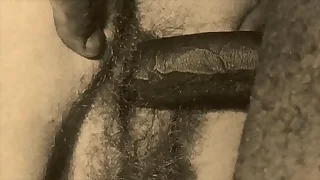 The Wonderful World Of Fruit Pornography, Interracial Fucking