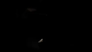 Midgets give good head