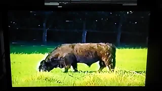 Who is the short-haired blond&quest; Or at least the name of the video