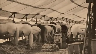 Diabolical Lantern Entertainment Presents 'The Dragonfly' Scene 3 Pt&period;1