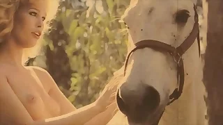 Unscrupulous Lantern Entertainment presents